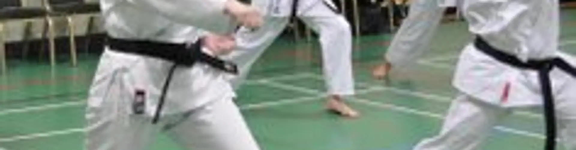 Wareham and Purbeck Karate Club