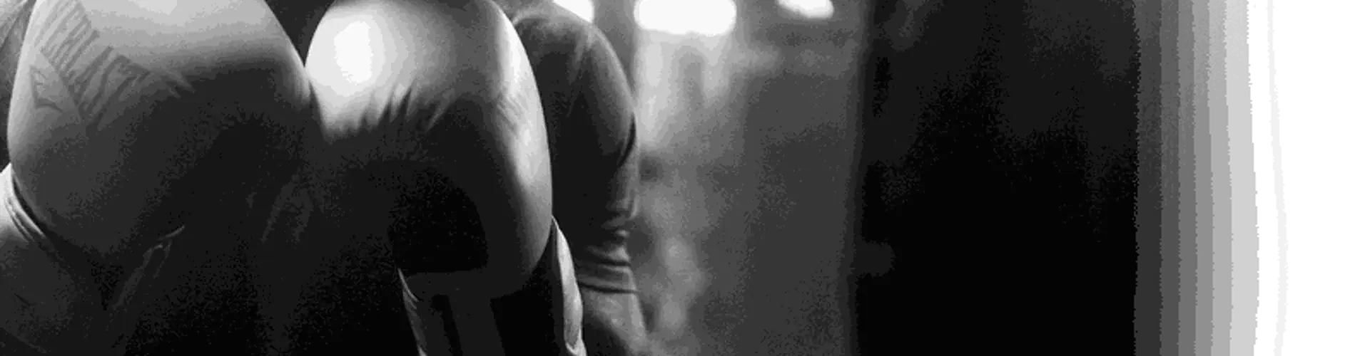 Everlast Gyms - Leigh