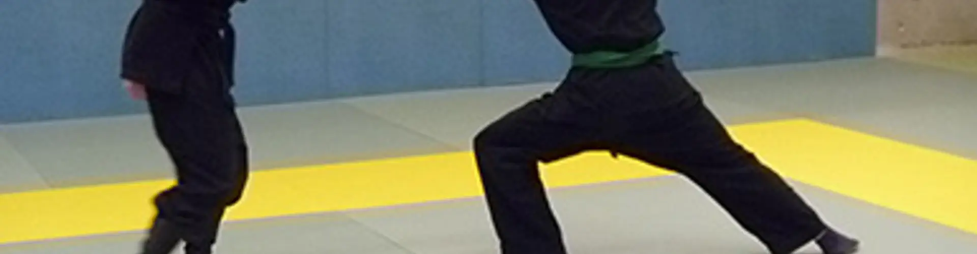 Bujinkan Dojo La Chapelle