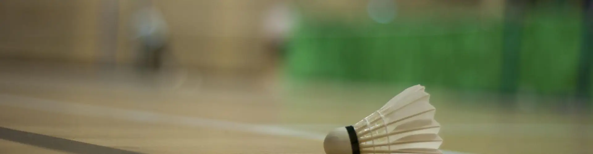 Oasis Badminton Club