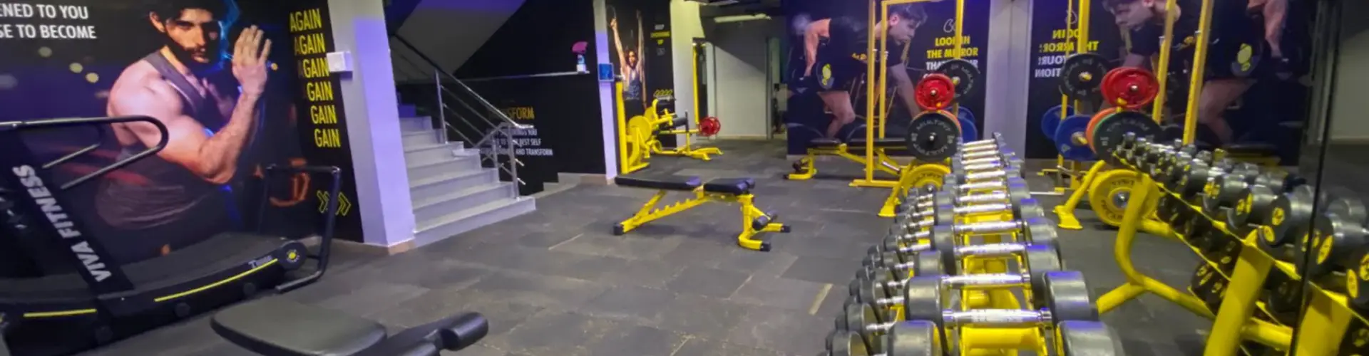 MultiFit - Baner