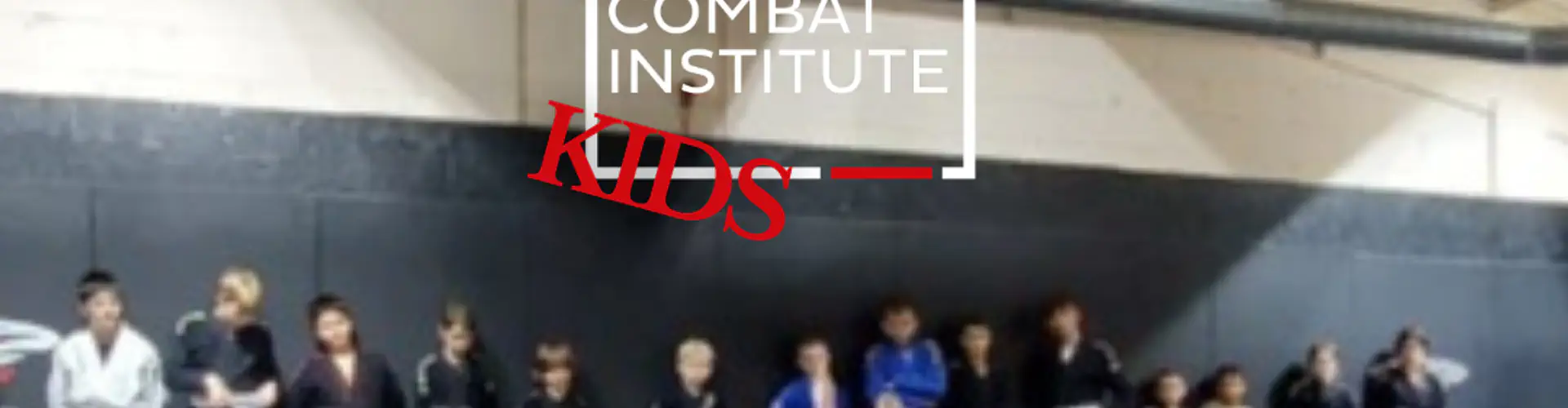 The Combat Institute