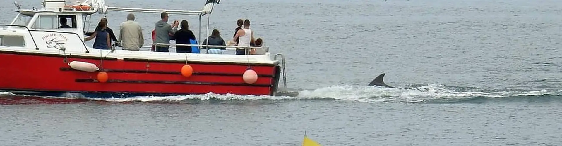 Prime time Boat Trips St.ives