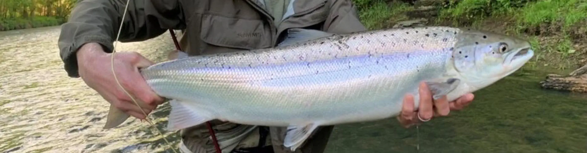 Endsleigh Fishing Club