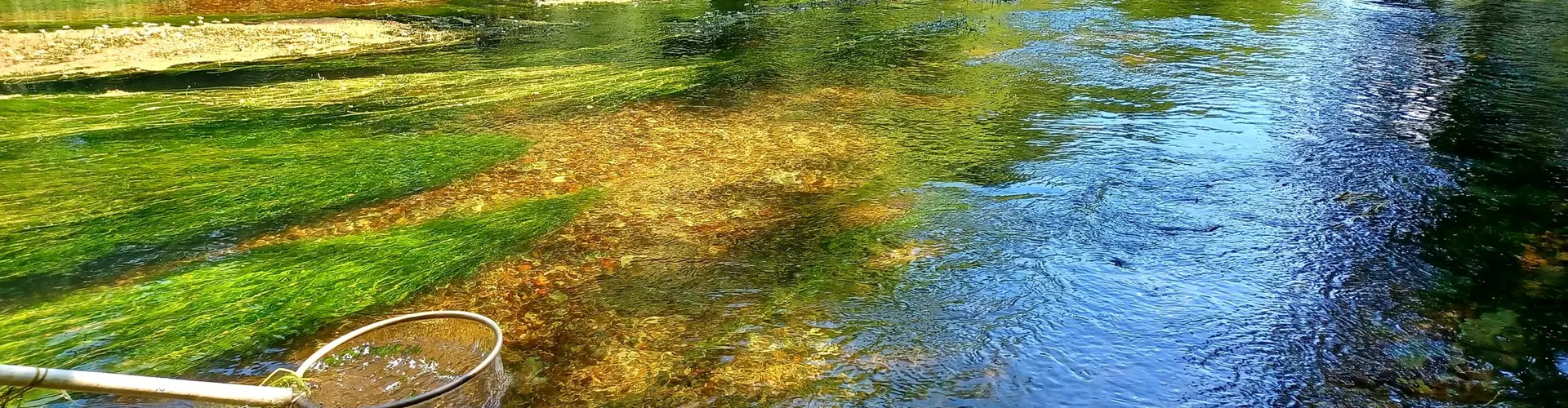 Fédération de Pêche du Loiret