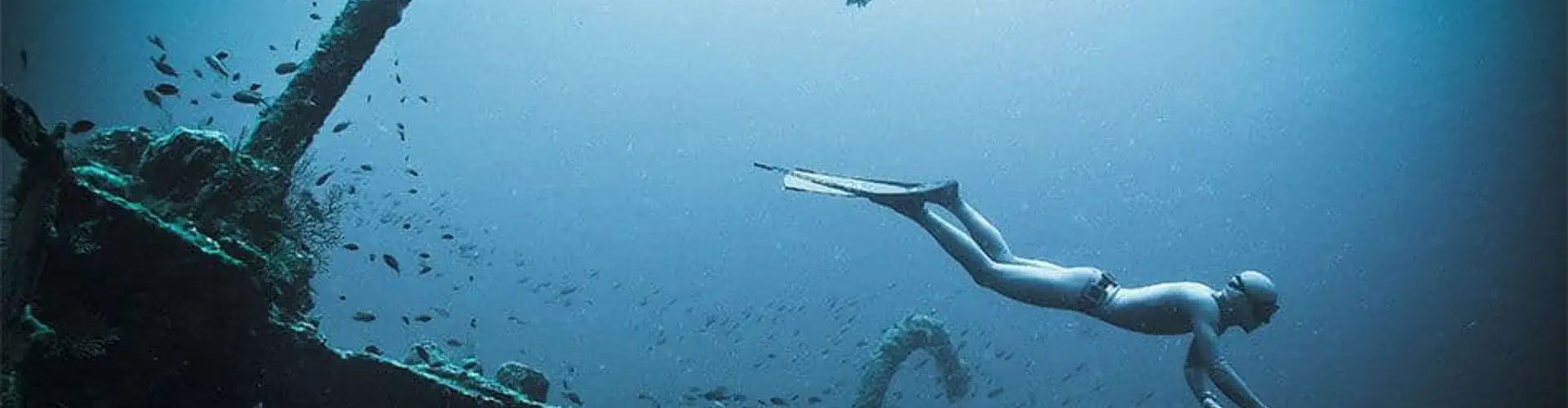 Scuba Diver Marseille Débutant (sans diplôme) Plongée Padi