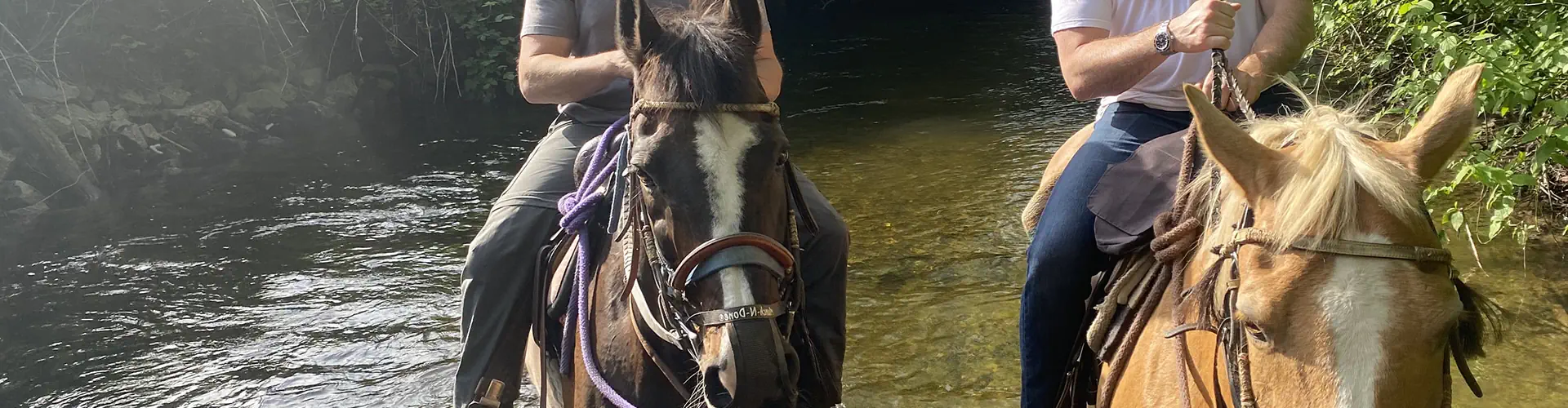 Leghorn Ranch Horseback Trail Rides