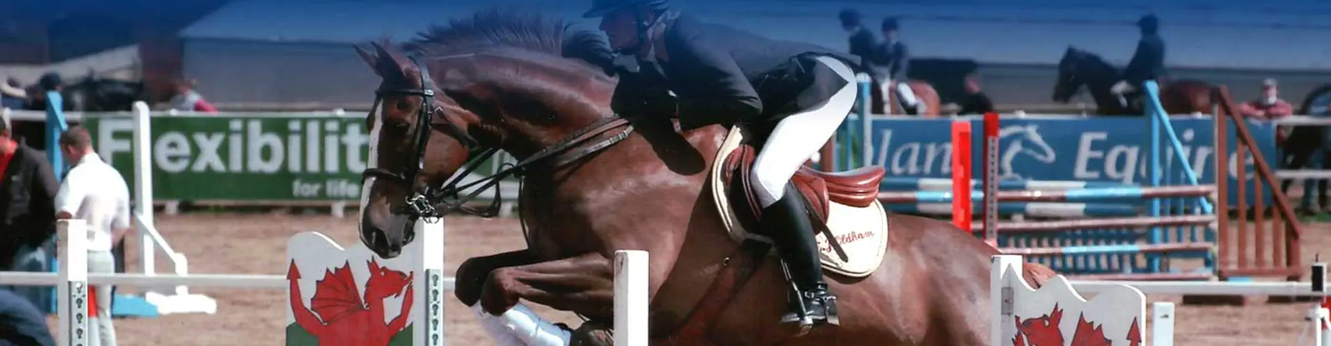 Higher Mainstone Equestrian