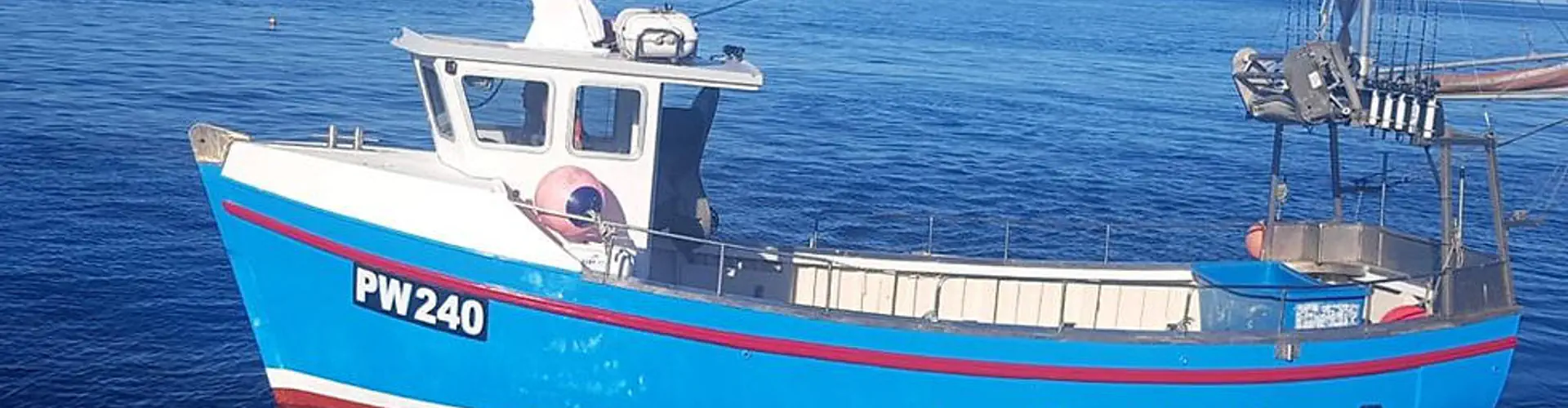 Diligence Mackerel Trips