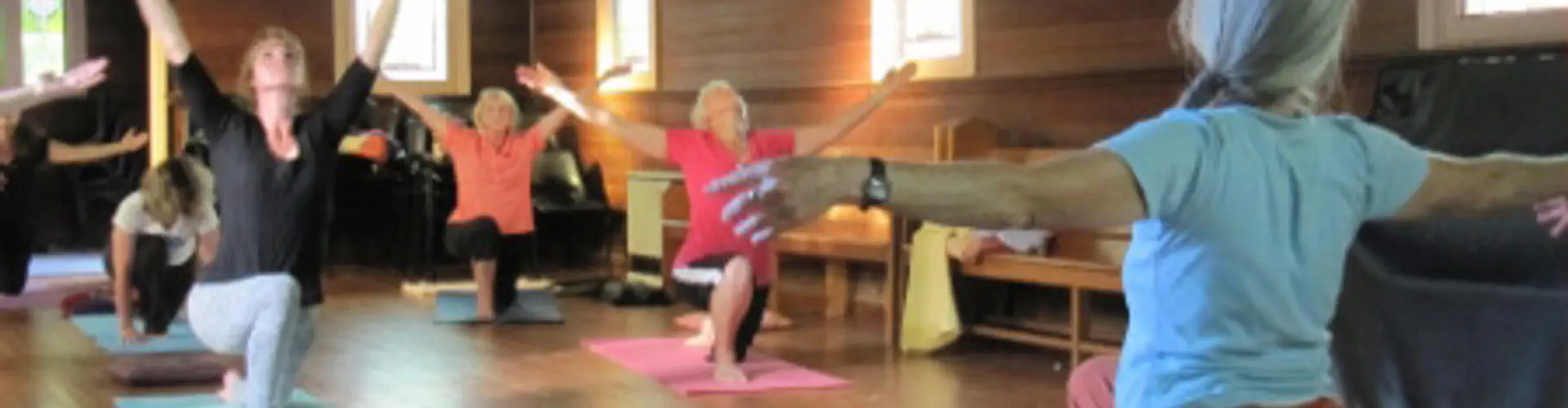 Gaia Yoga and Flow of Life- Yoga Massage, Group or Private Yoga Classes