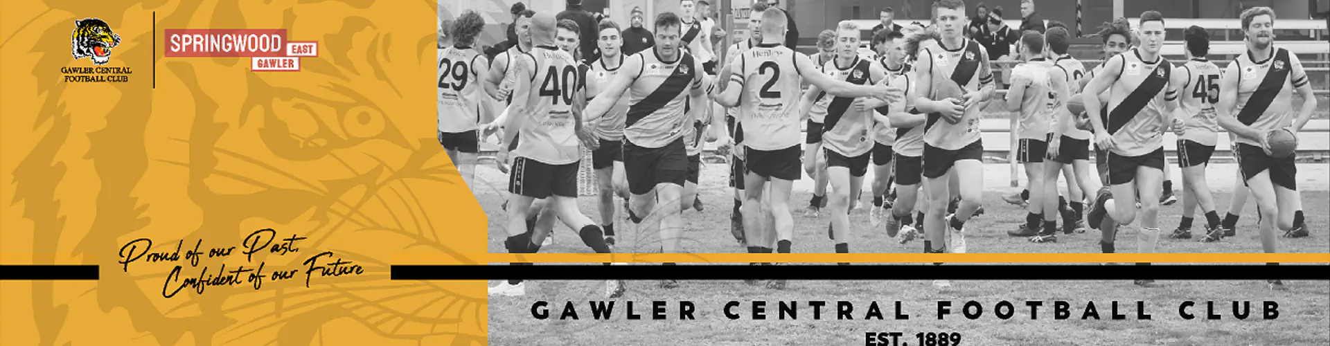Amateur Football Game: Round 10 v Freeling