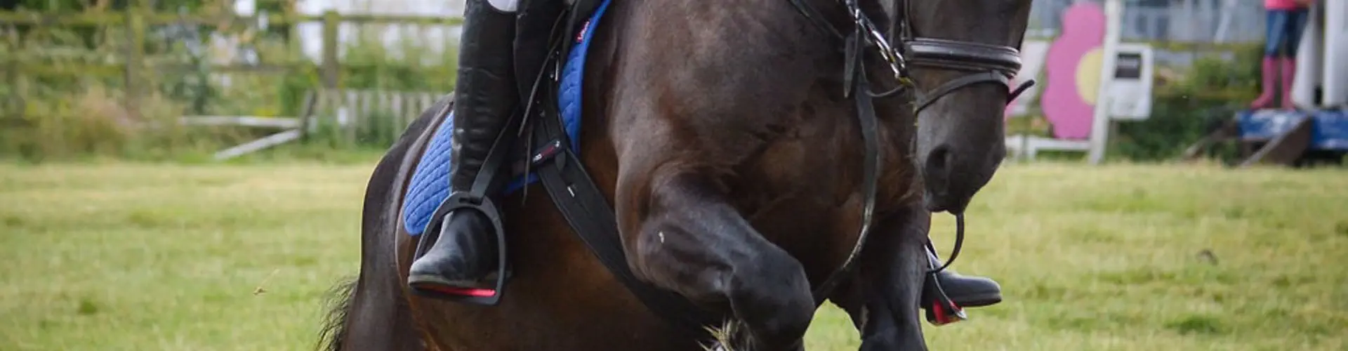 Woodredon Equestrian Centre