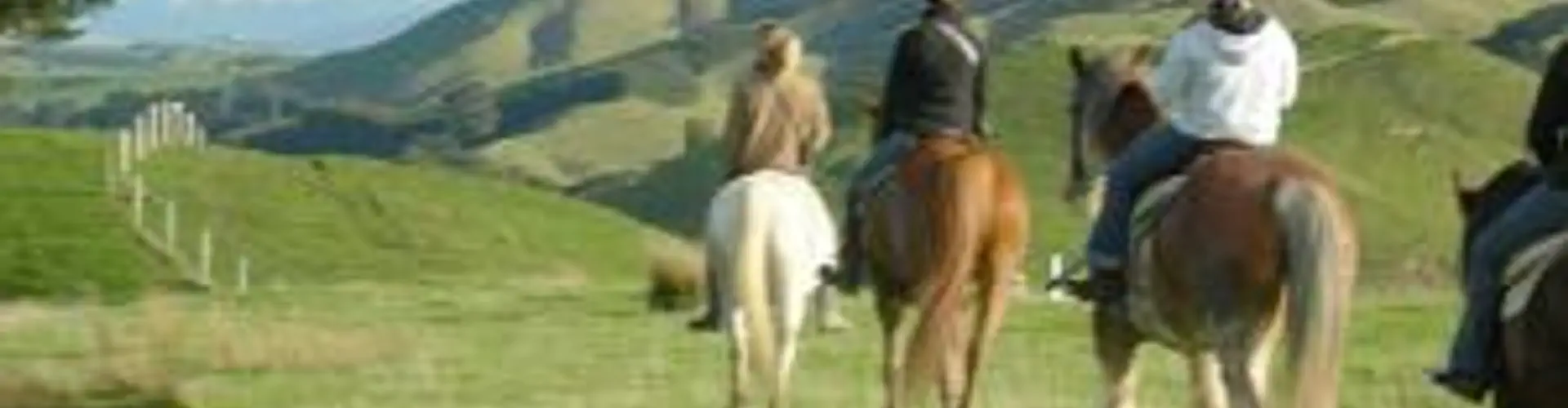 Timeless Horse Treks