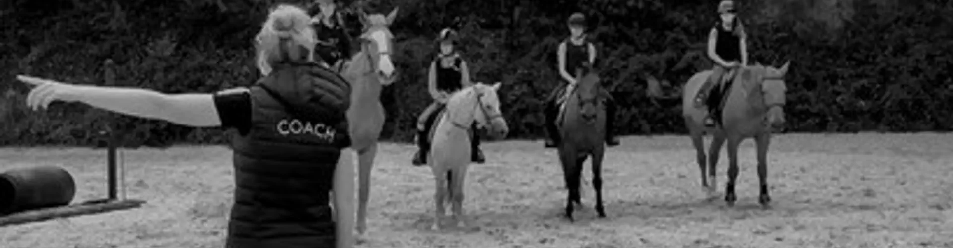 Cercle Equestre De La Loge