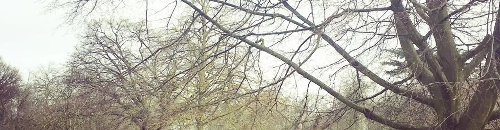 Yoga in Finsbury Park