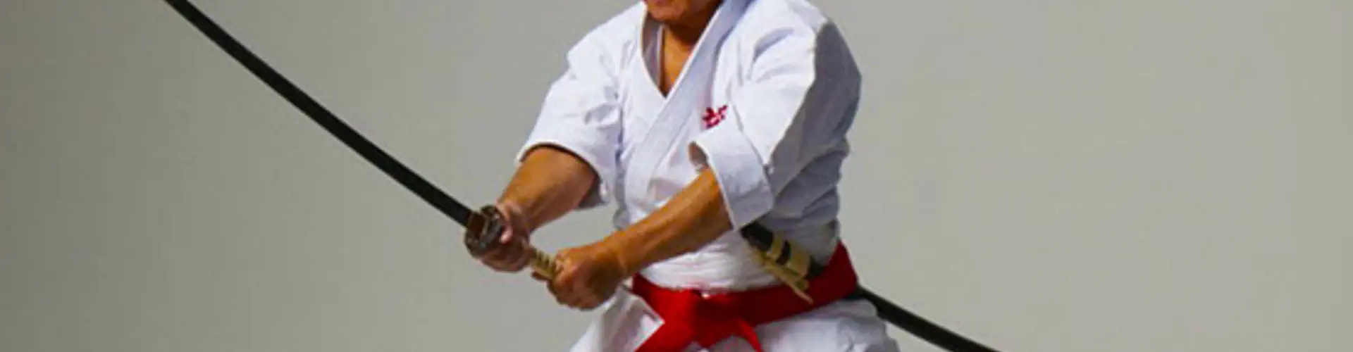 Bayside Seido Dojo