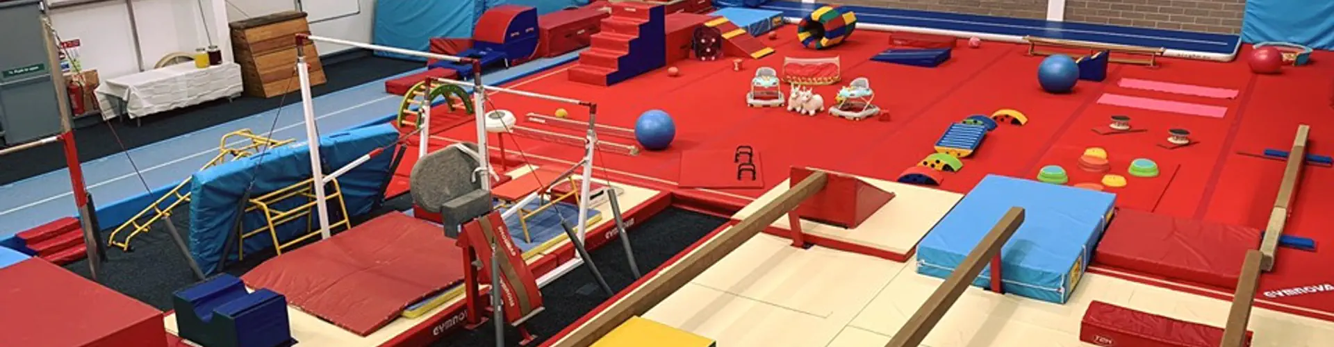 Central Gymnastics Academy