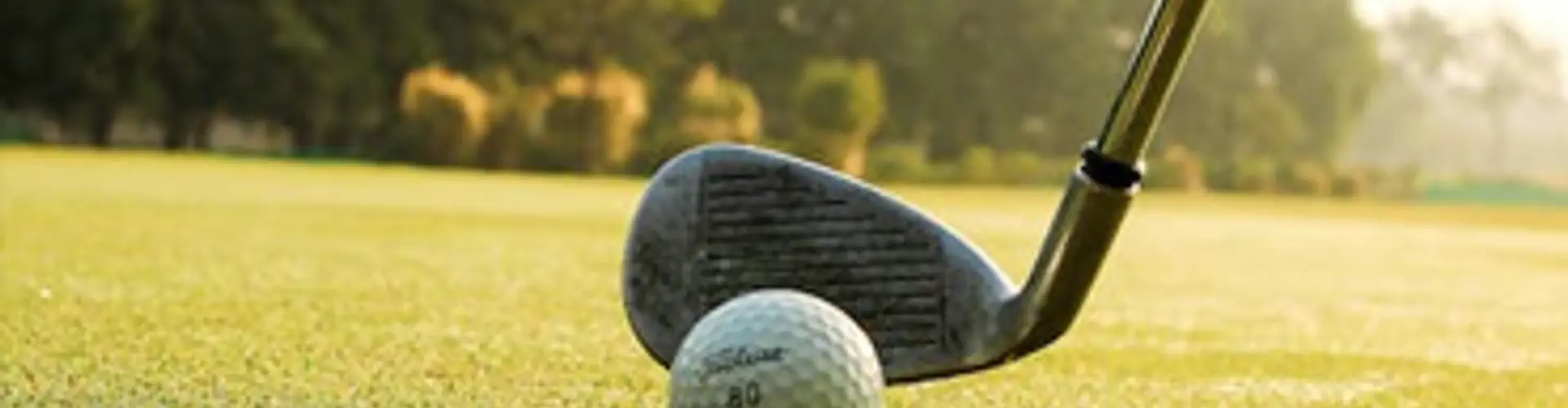The Indian Golf Union