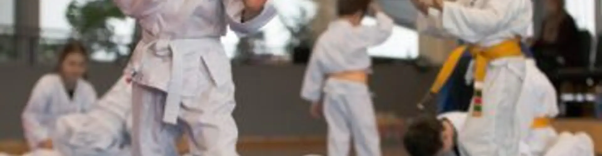 Kids Karate Martial Arts Classes