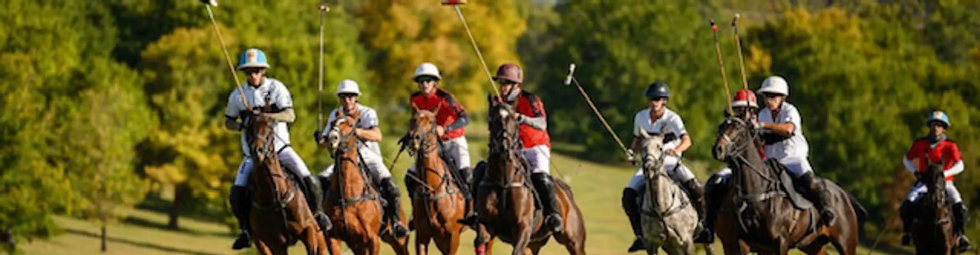 La Dolfina Cup 2024