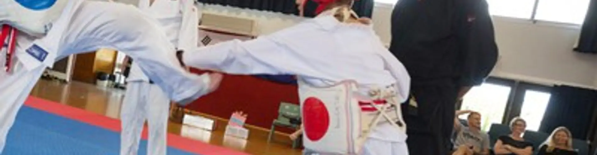 Kingsland Martial Arts