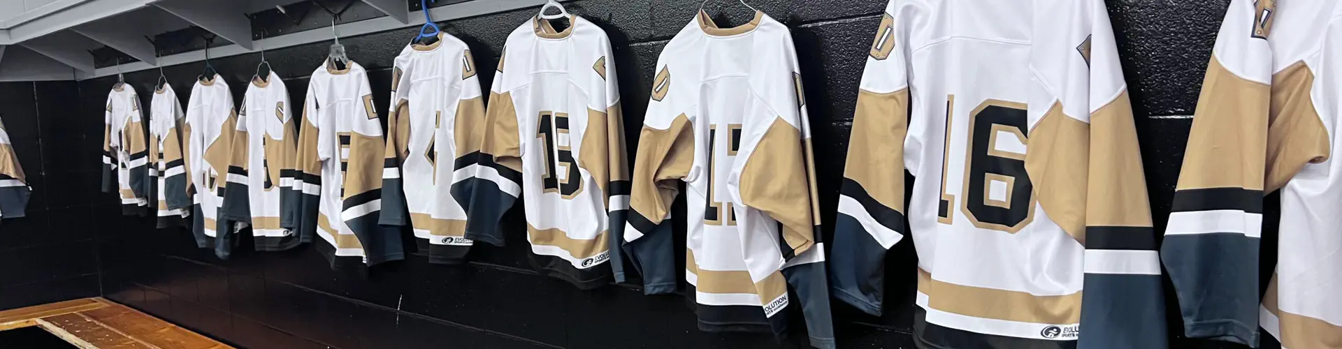 Devon Minor Hockey Association