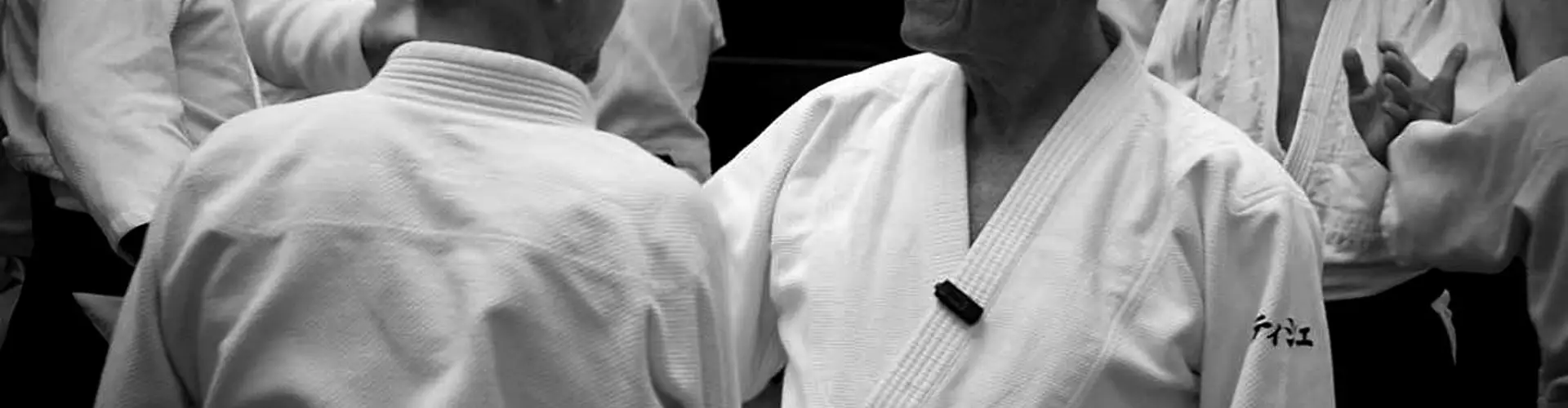 Aikido League News Aquitaine Ffaaa