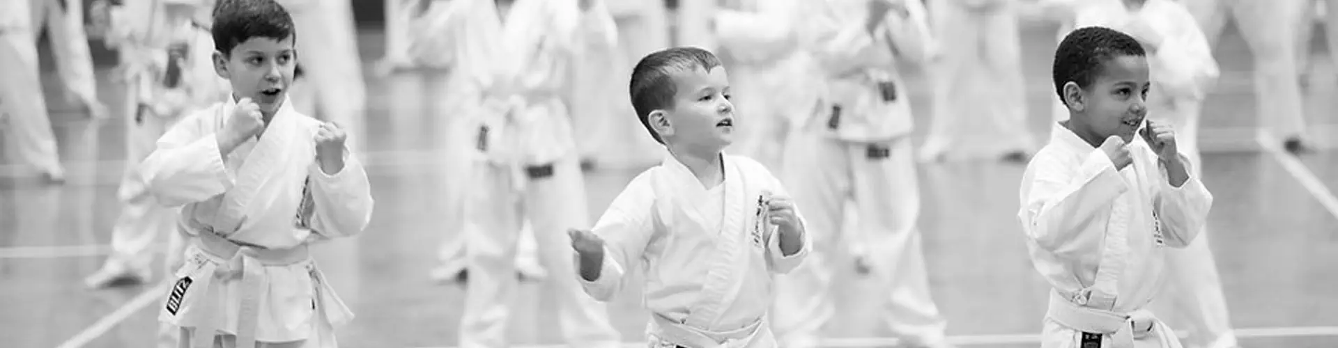 Hyo Gen Do Karate