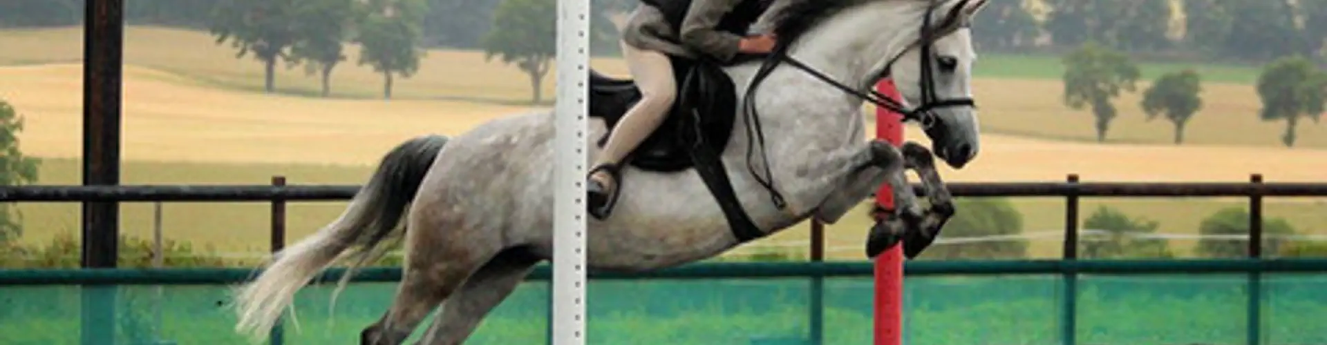 Muirhead Stables
