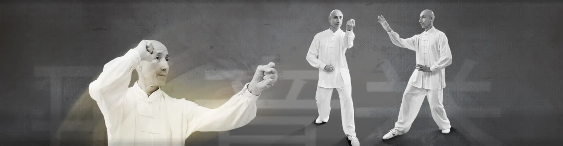 Aikido Taichi Gradignan