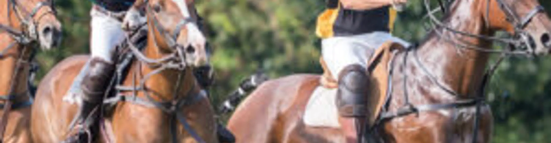 Dorset Polo Club