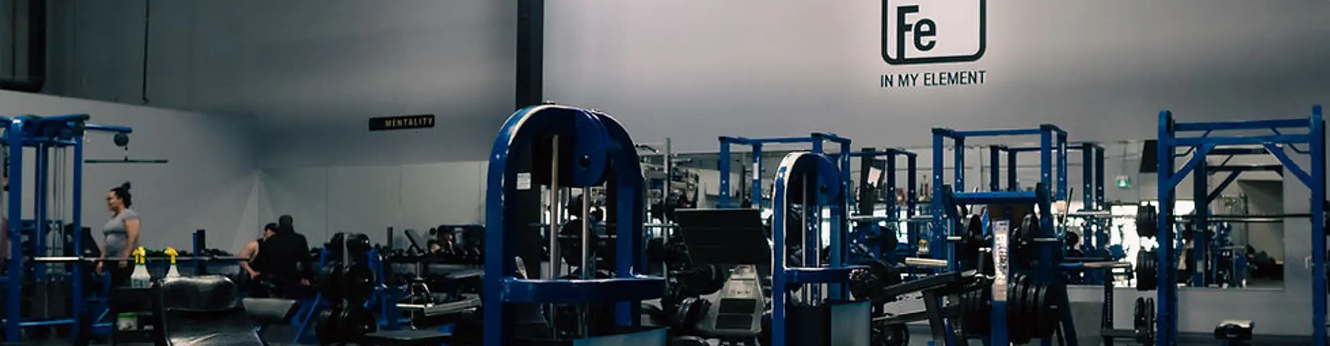 Fitness Element