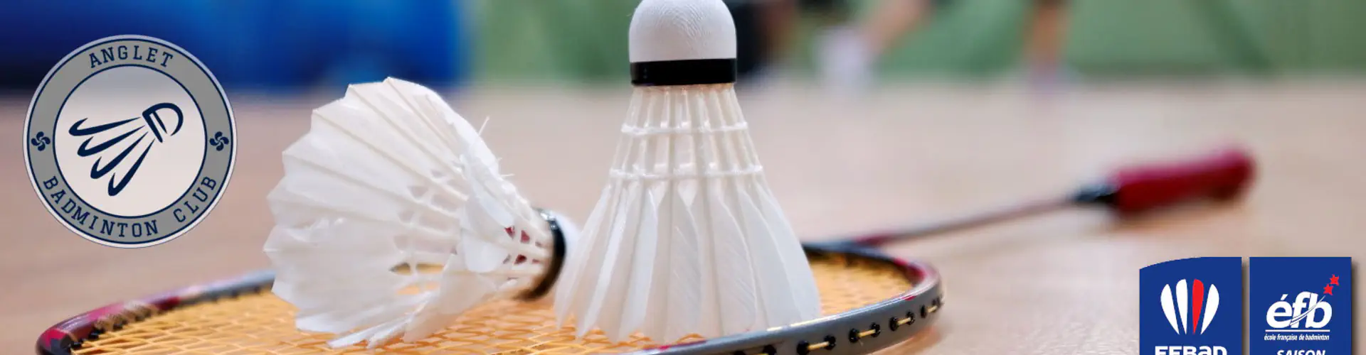 Anglet Badminton Club