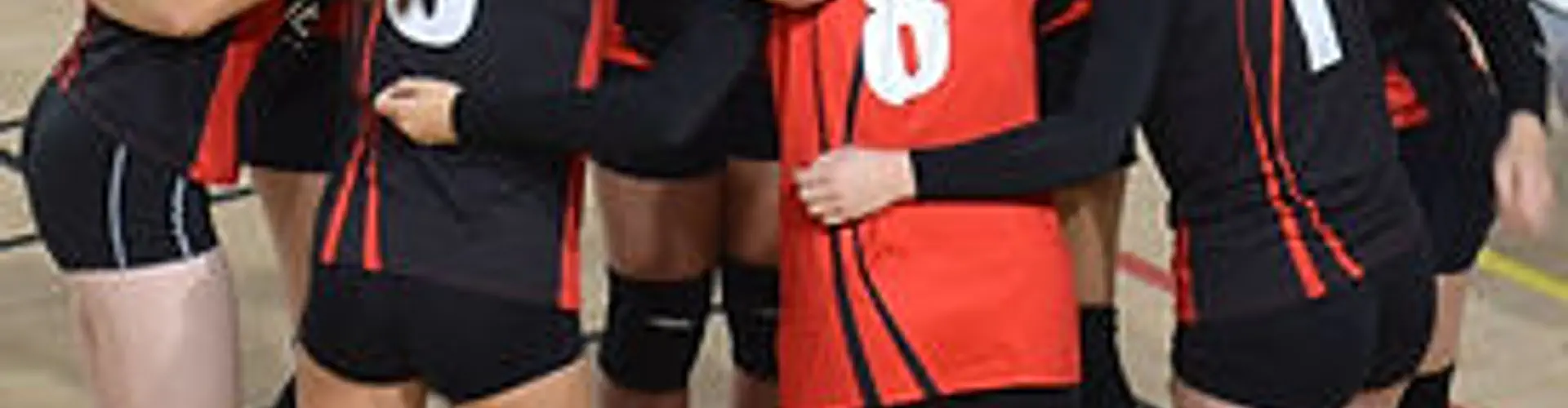 Association de Volley-Ball Taverny Saint-Leu