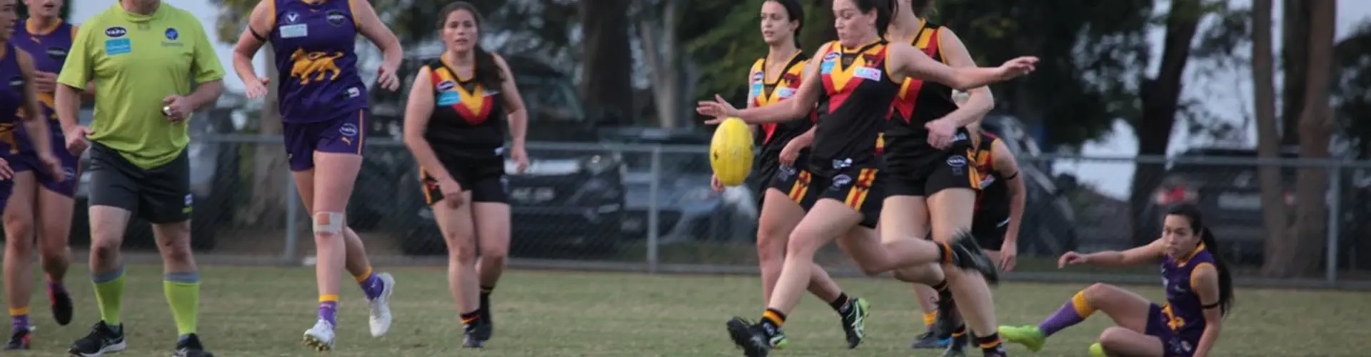 Yarra Old Grammarians Football Club
