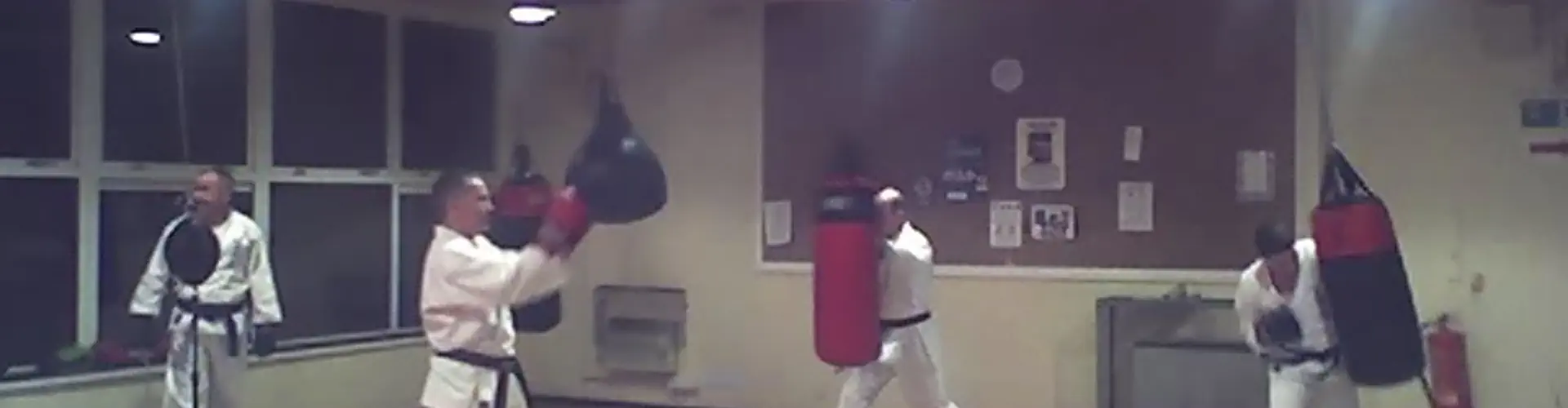 Essex Group of Uechi-Ryu Karate Clubs