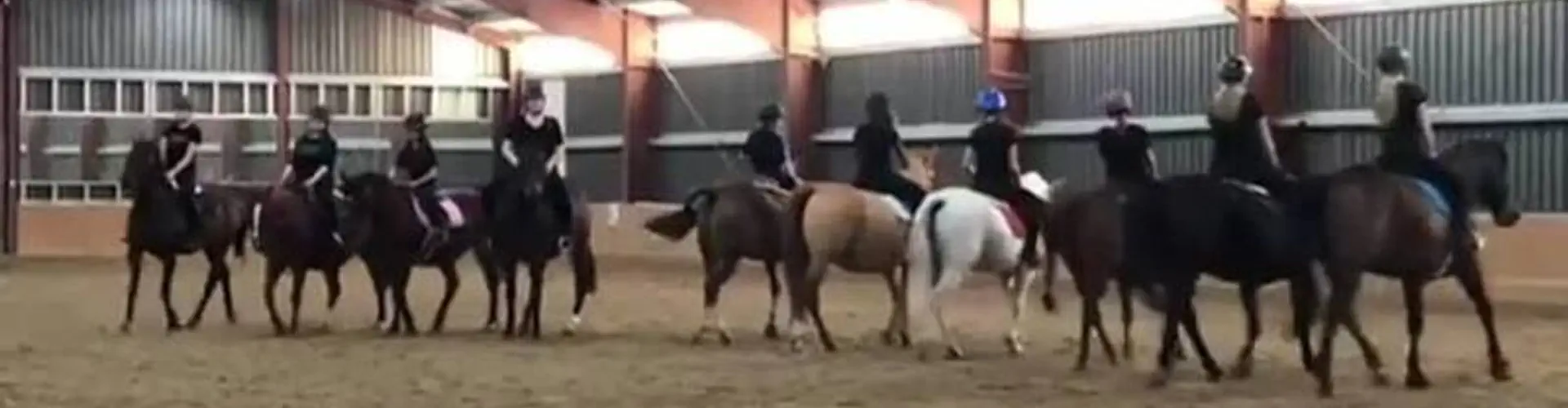 Sagehill Stables