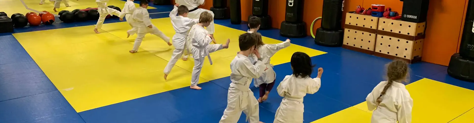 Salle Dojo Embiane