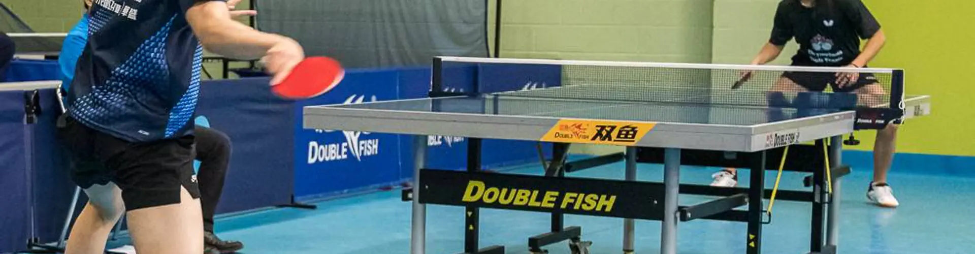 Ontario Table Tennis Association