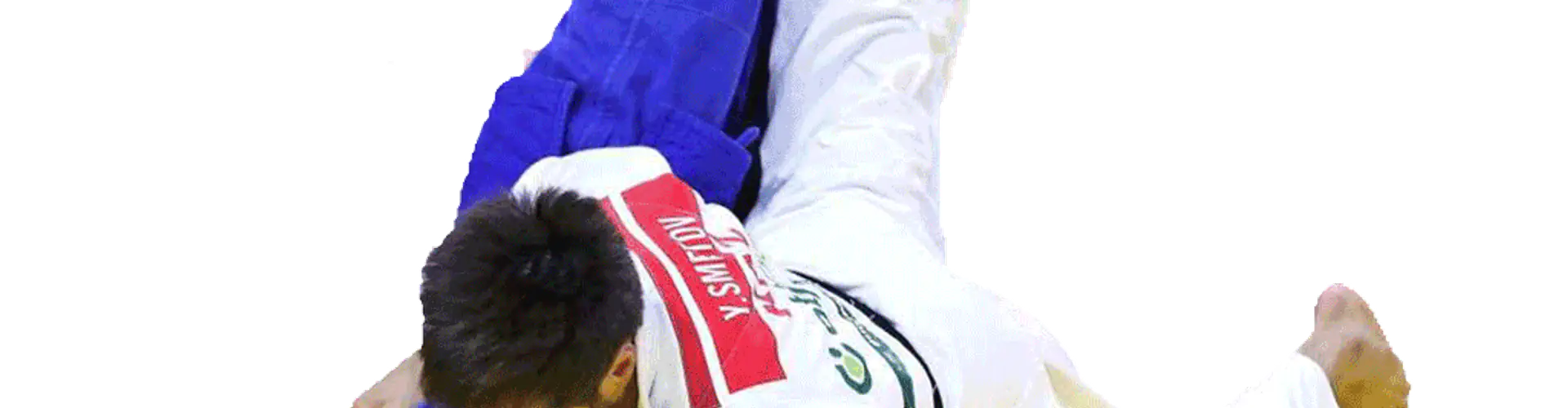 Hayabusakan Judo Club