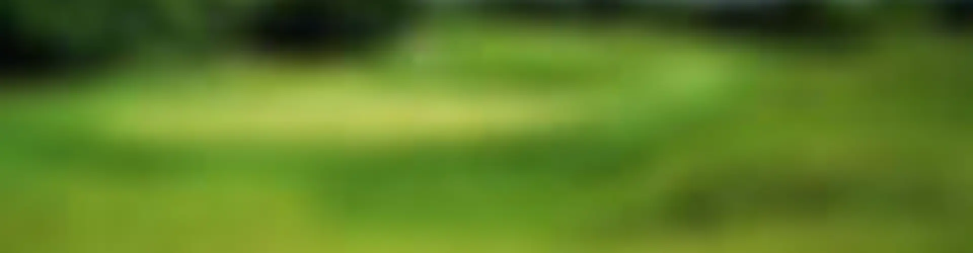 Revans Golf