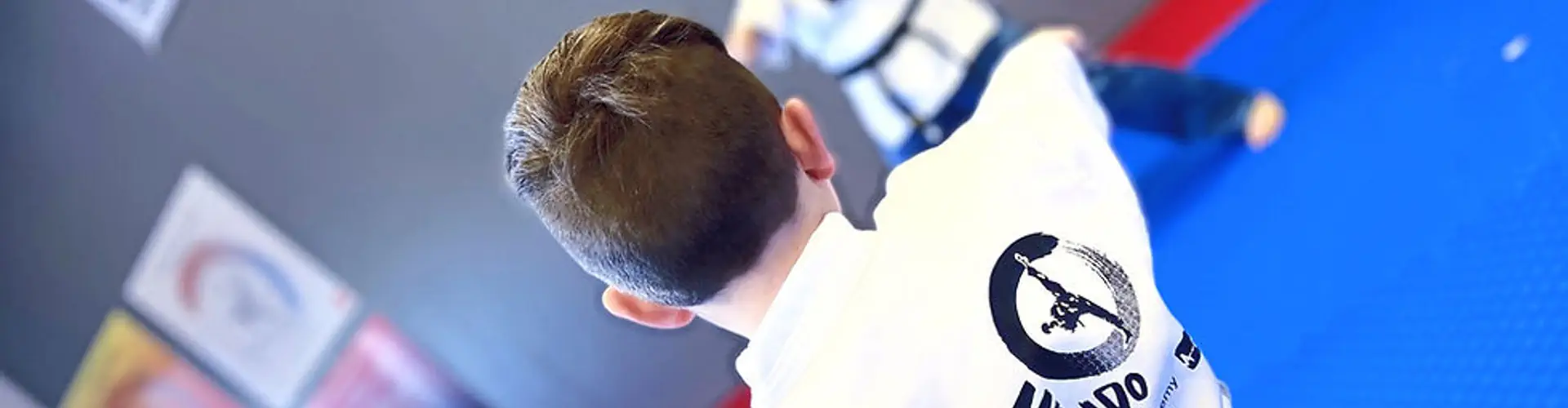 A-one Taekwondo | Tamarack | Edmonton