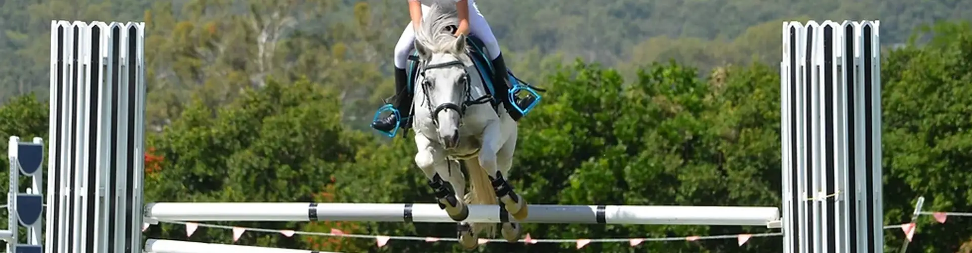 Ethereal Equestrian