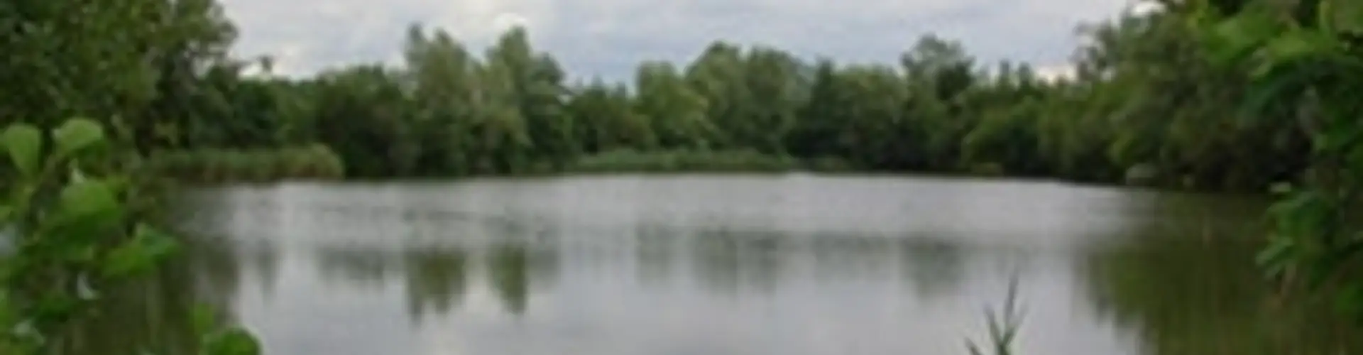 Brookhall Lake Fishing Event
