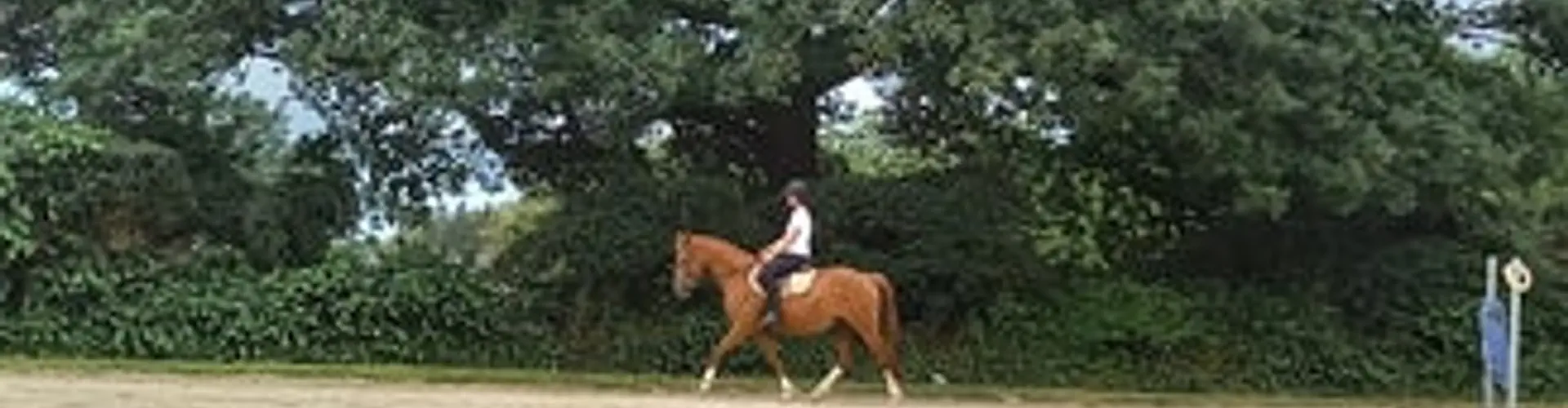 Horse Farm Du Grand Épinay