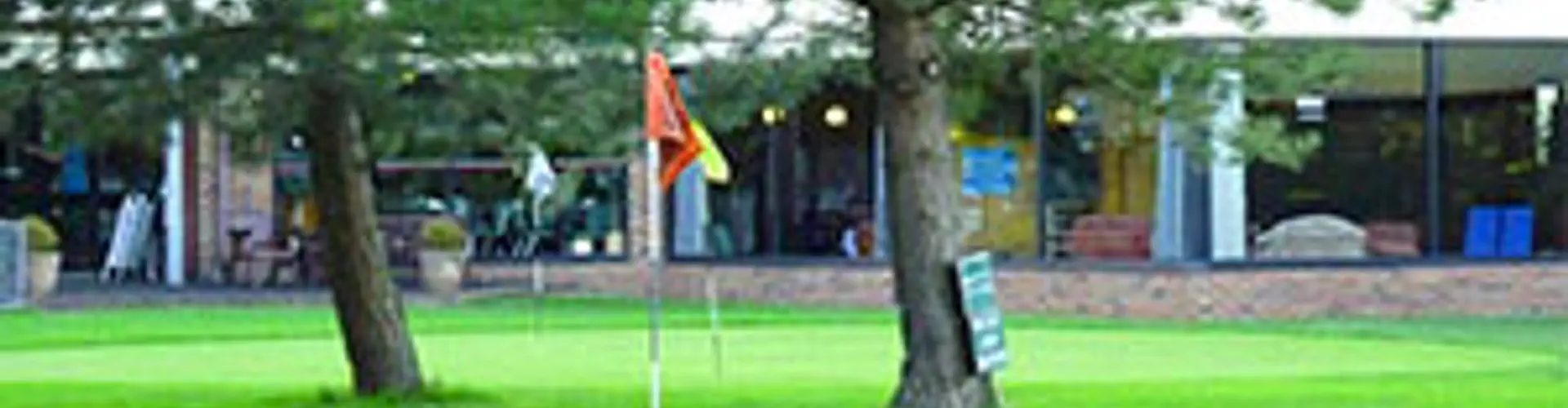 Michael Whitfield Golf Coach