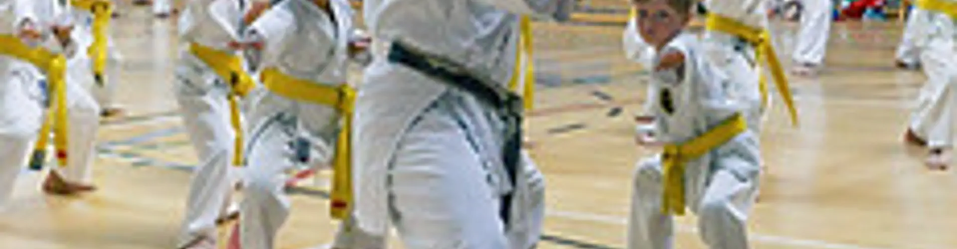United Karate Association