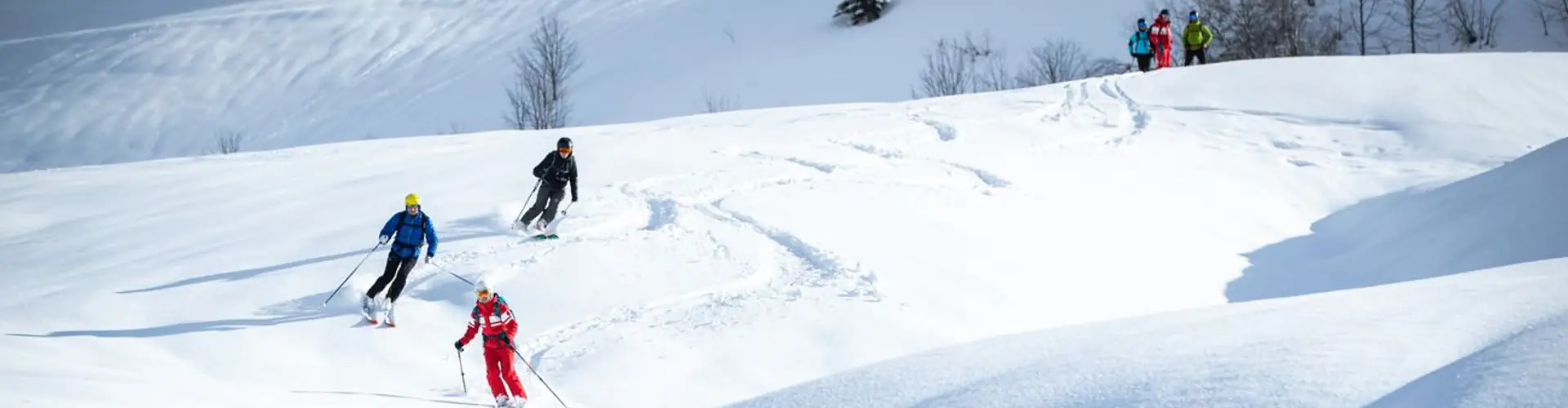 Cours privés de Ski Nordique Classique ou Skating