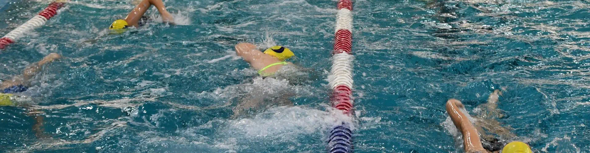 Dartmouth Crusaders Swim Club