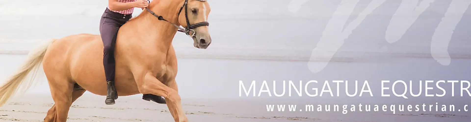 Maungatua Equestrian
